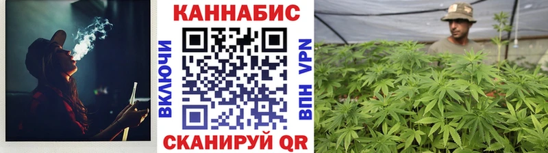 МАРИХУАНА сатива  Тырныауз 